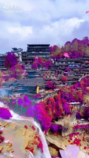 聪明机智问答-解答您的疑问微读圣经不能语音播放怎么回事