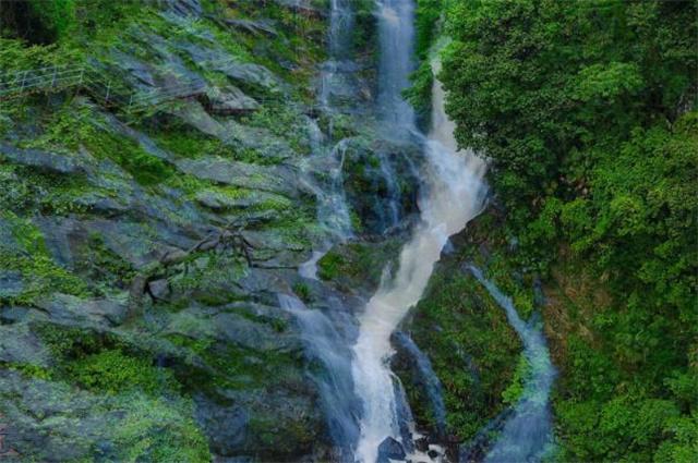春雨直播app